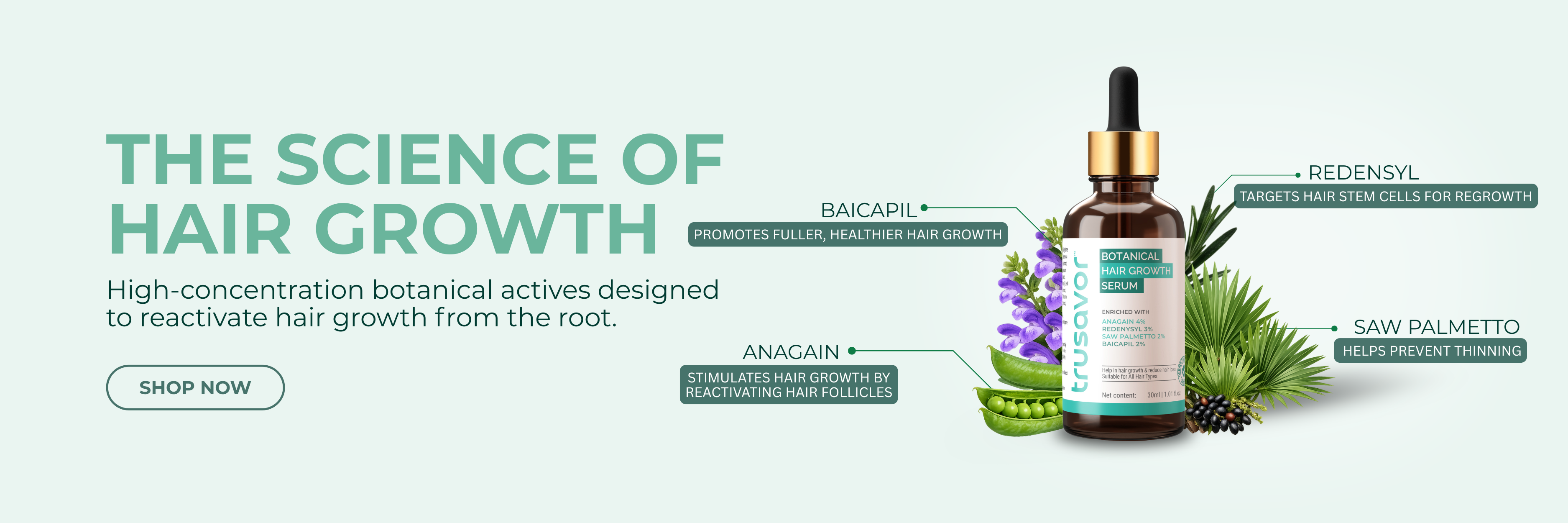 Wellness Reimagined